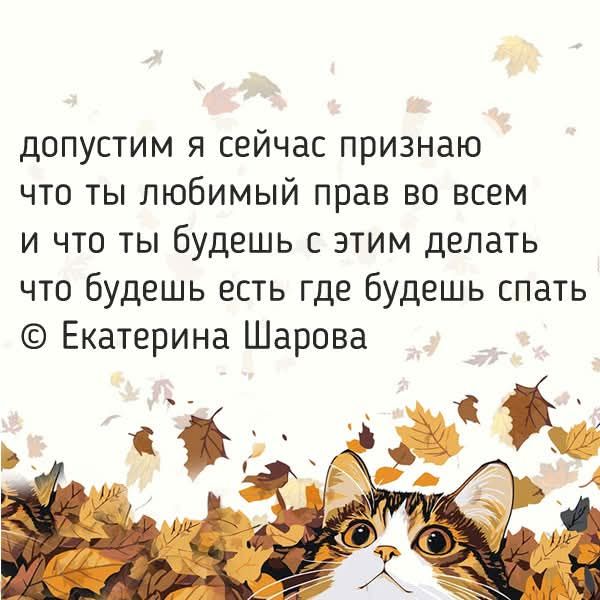допустим я сейчас признаю что ты любимый прав во всем и что ты будешь с этим делать что будешь есть где будешь спать © Екатерина Шарова
