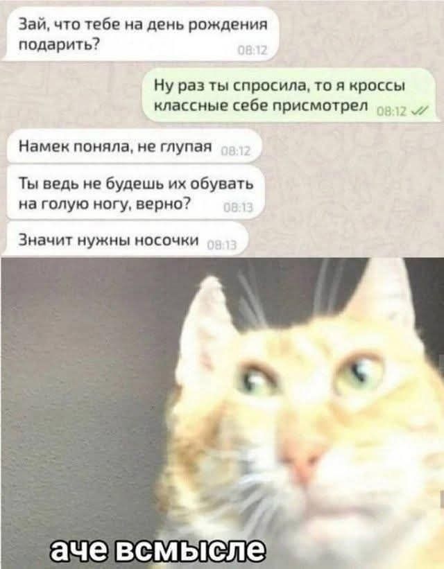 Зай, что тебе на день рождения подарить? Ну раз ты спросила, то я кроссы классные себе присмотрел. Намек поняла, не глупая. Ты ведь не будешь их обувать на голую ногу, верно? Значит нужны носочки. аче всмысле