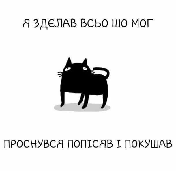 Я сделал всё, что мог. Проснулся, пописал и поел.