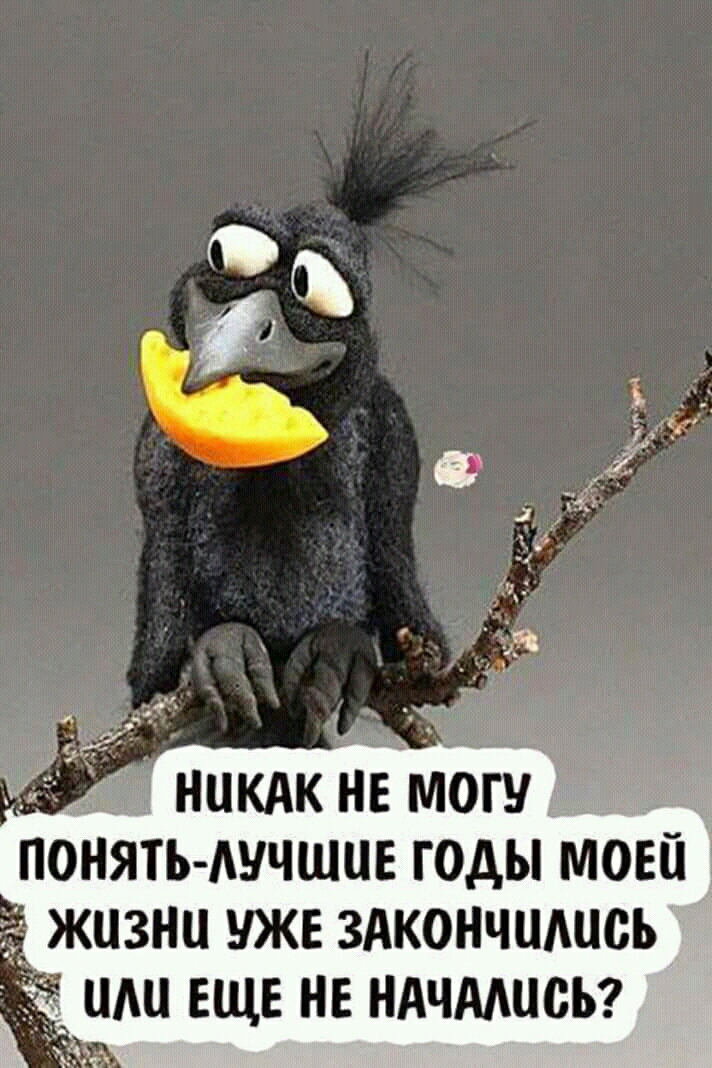 ОНТЬ АУЧШЦЕ годы моей жизни уже здкончшшсь ли еще не НАЧАМЮЬ