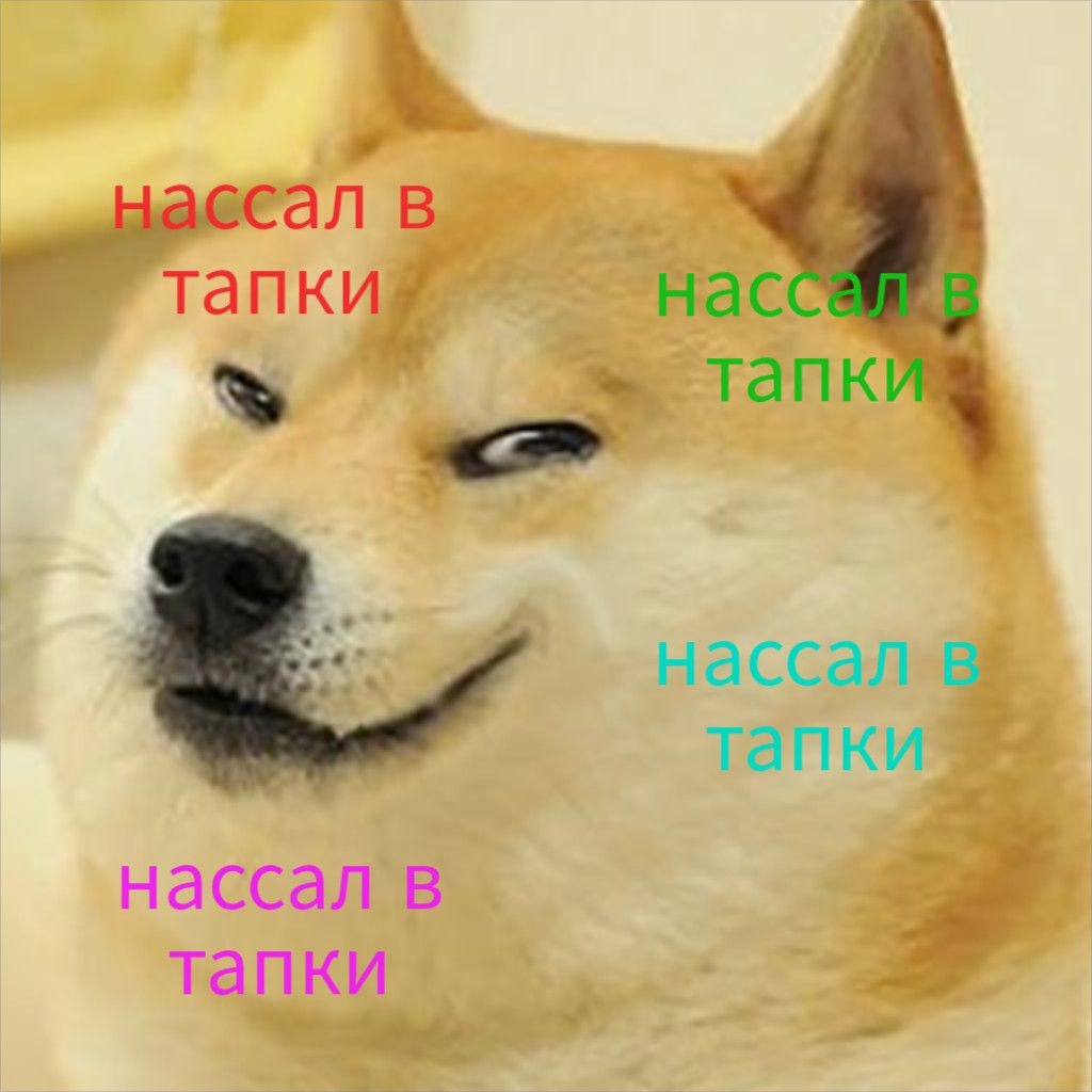 нассал в тапки