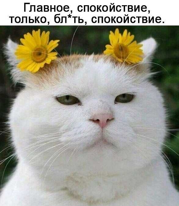 Главное спокойствие только блть спокоиствие