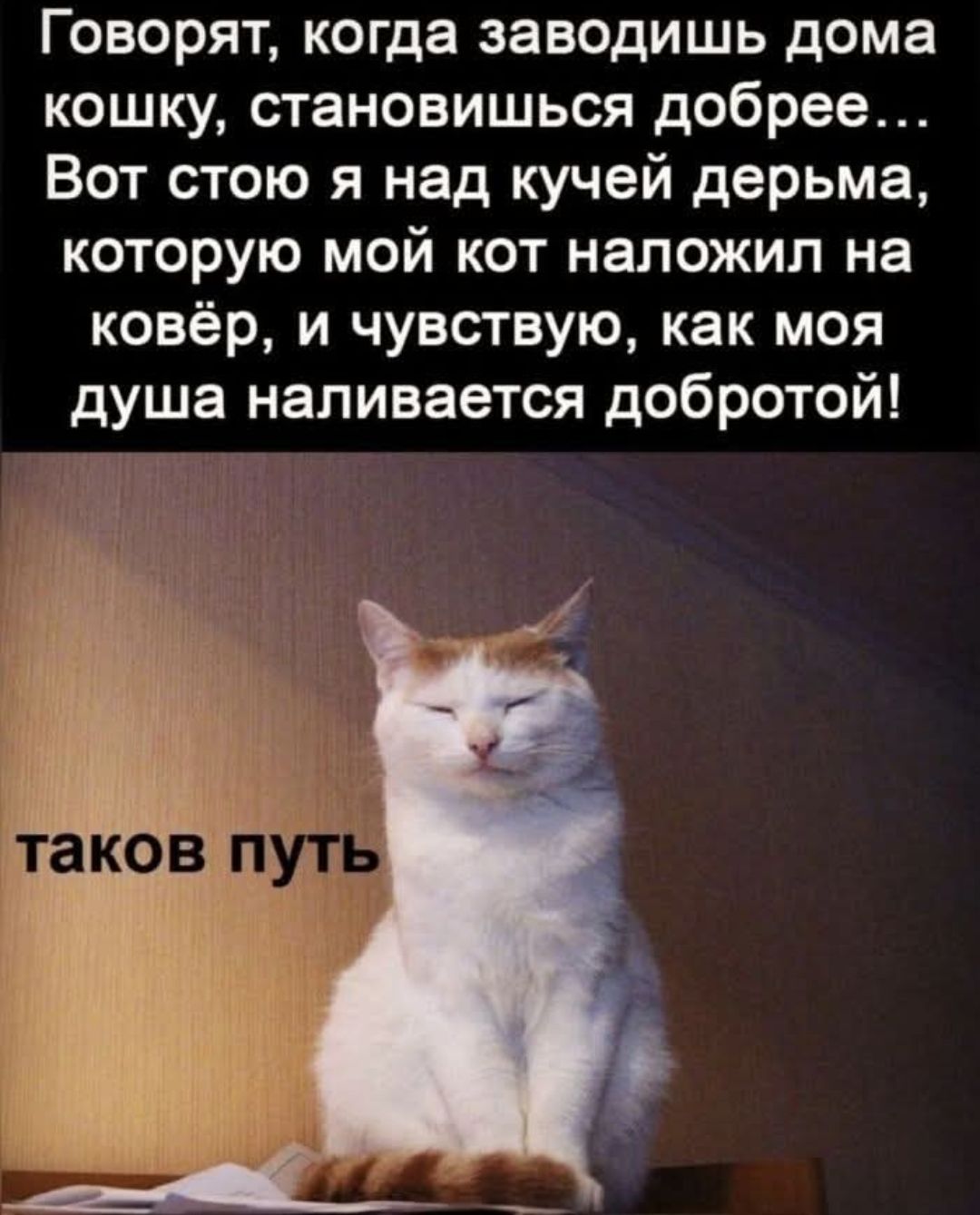 Говорят, когда заводишь дома кошку, становишься добрее… Вот стою я над кучей дерьма, которую мой кот наложил на ковёр, и чувствую, как моя душа наливается добротой! таков путь