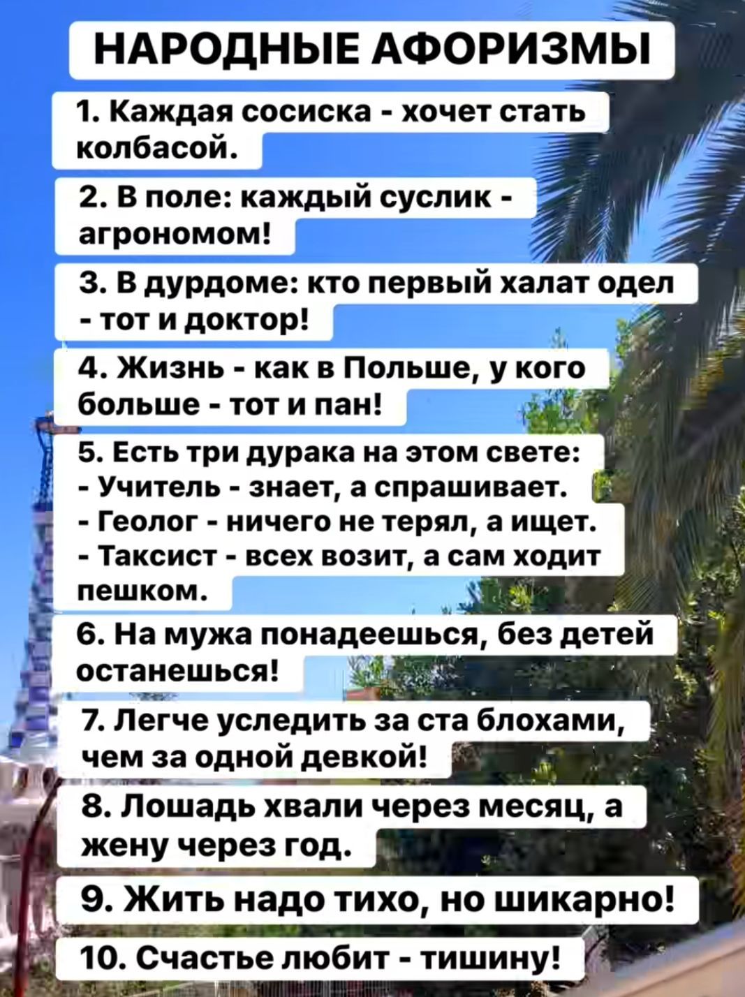 НАРОДНЫЕ АФОРИЗМЫ
1. Каждая сосиска - хочет стать колбасой.
2. В поле: каждый суслик - агрономом!
3. В дурдоме: кто первый халат одел - тот и доктор!
4. Жизнь - как в Польше, у кого больше - тот и пан!
5. Есть три дурака на этом свете: Учитель - знает, а спрашивает. Геолог - ничего не терпел, а щет. Таксист - всех возит, а сам ходит пешком.
6. На мужа полагаешься, без детей останешься!
7. Легче убедить за rape блоками, чем за одной девкой!
8. Лошади хвали через месяц, а жену через год.
9. Жить надо тихо, но шикарно!
10. Счастье любит - тишину!