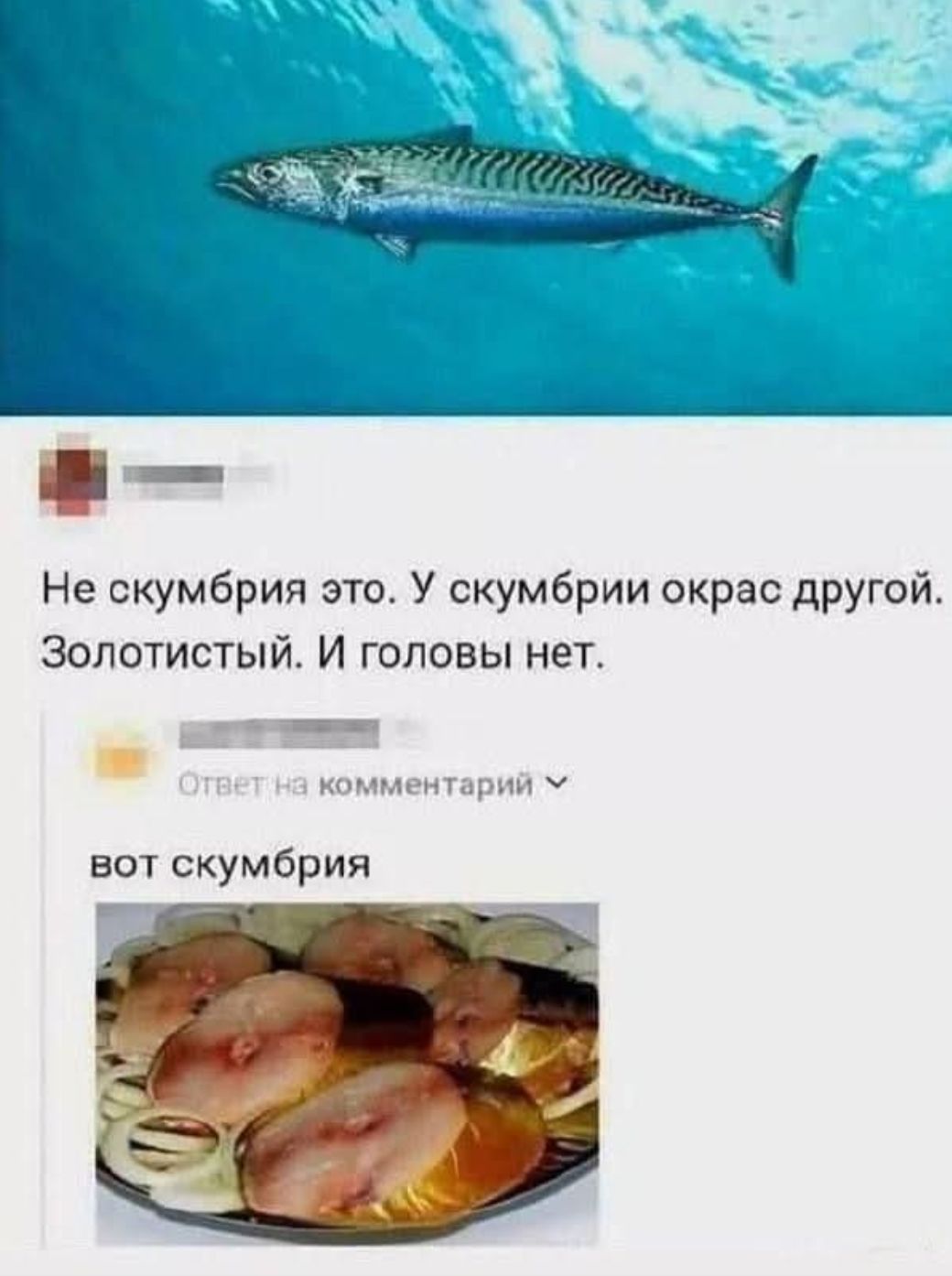 Не скумбрия это. У скумбрии окрас другой. Золотистый. И головы нет.
Вот скумбрия.