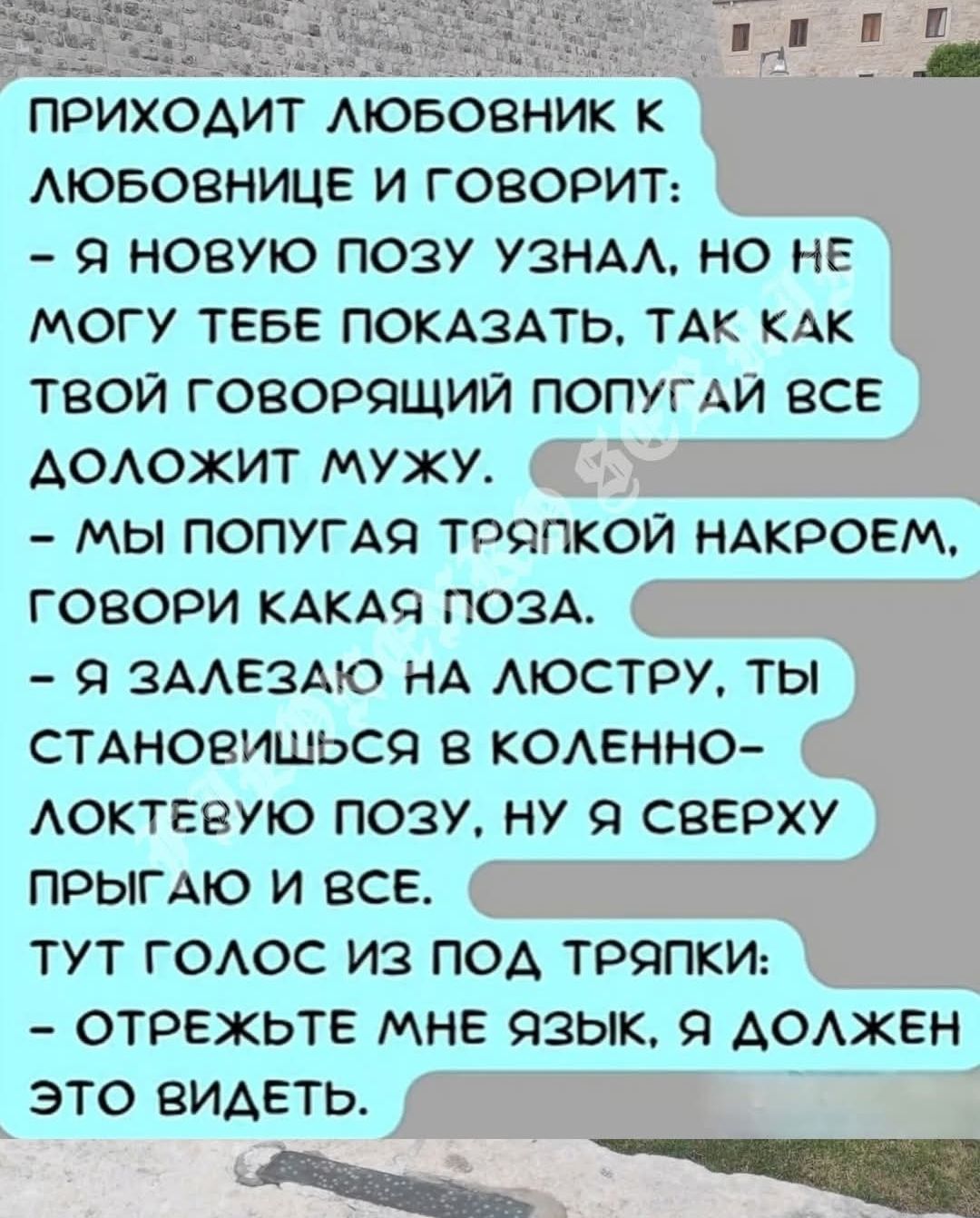 Приходит любовник к любовнице и говорит: - Я новую позу узнал, но не могу тебе показать, так как твой говорящий попугай все доложит мужу. - Мы попугая тряпкой накроем, говори какая поза. - Я залезаю на люстру, ты становишься в коленно-локтевую позу, ну я сверху прыгаю и все. Тут голос из под тряпки: - Отрежьте мне язык, я должен это видеть.