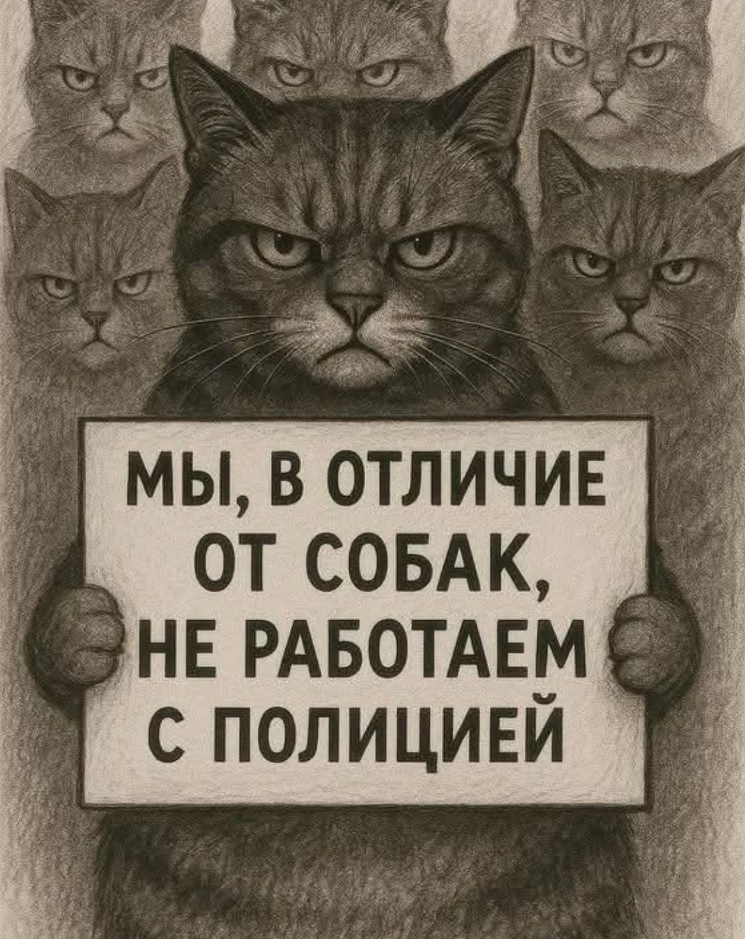 МЫ, В ОТЛИЧИЕ ОТ СОБАК, НЕ РАБОТАЕМ С ПОЛИЦИЕЙ