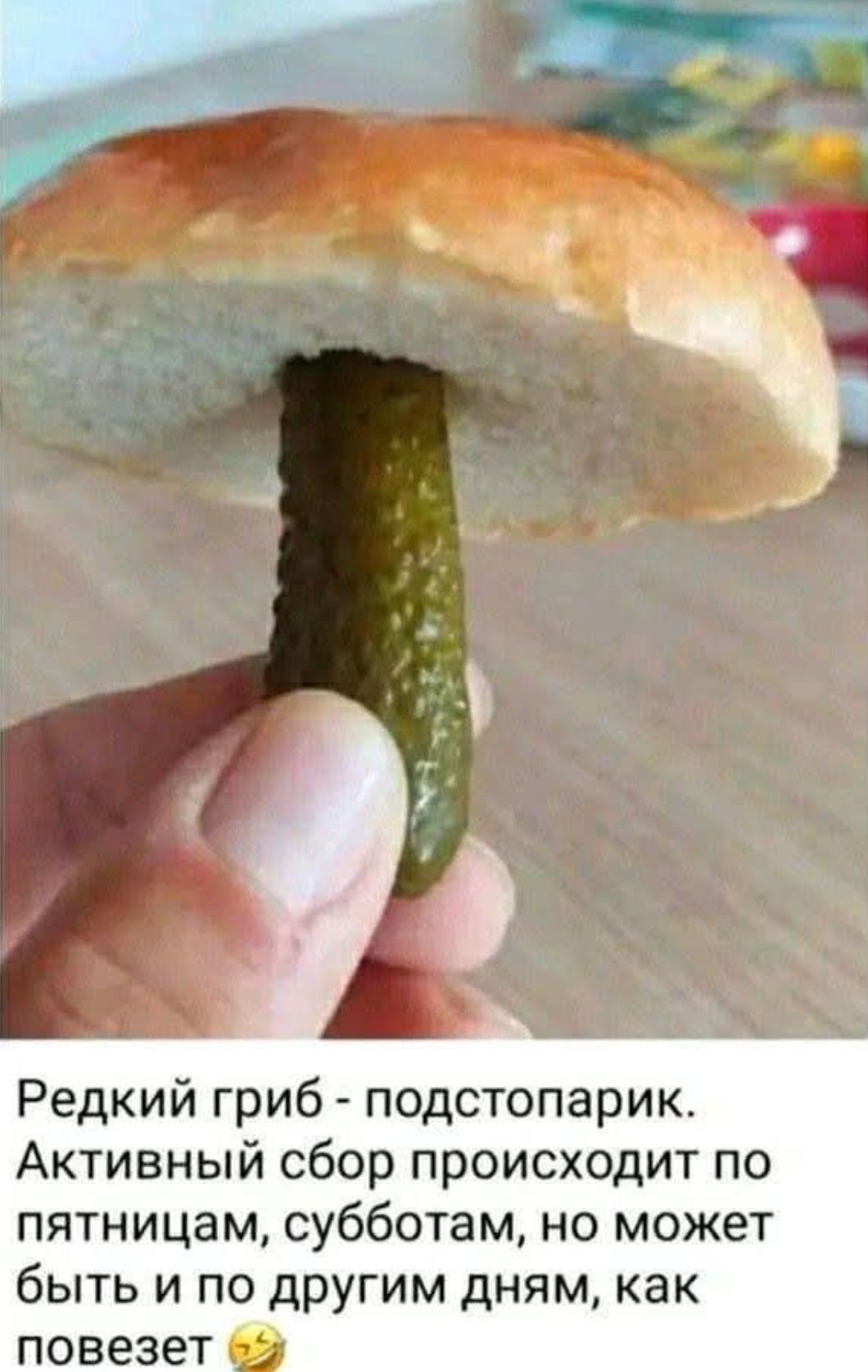 Красный гриб - подстопарик. Активный сбор происходит по пятницам, субботам, но может быть и по другим дням, как повезёт 🤣
