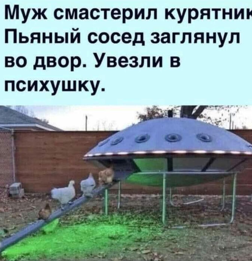 Муж смастериил курятник. Пьяный сосед заглянул во двор. Увезли в психушку.