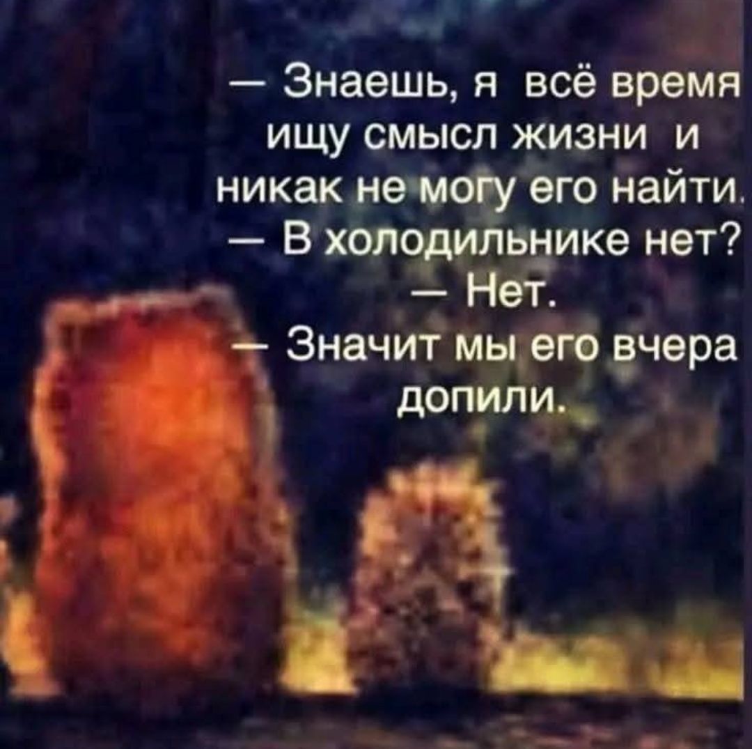 — Знаешь, я всё время ищу смысл жизни и никак не могу его найти.
— В холодильнике нет?
— Нет.
— Значит мы его вчера допили.
