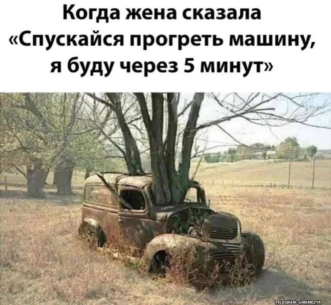 Когда жена сказала «Спускайся прогреть машину, я буду через 5 минут»
