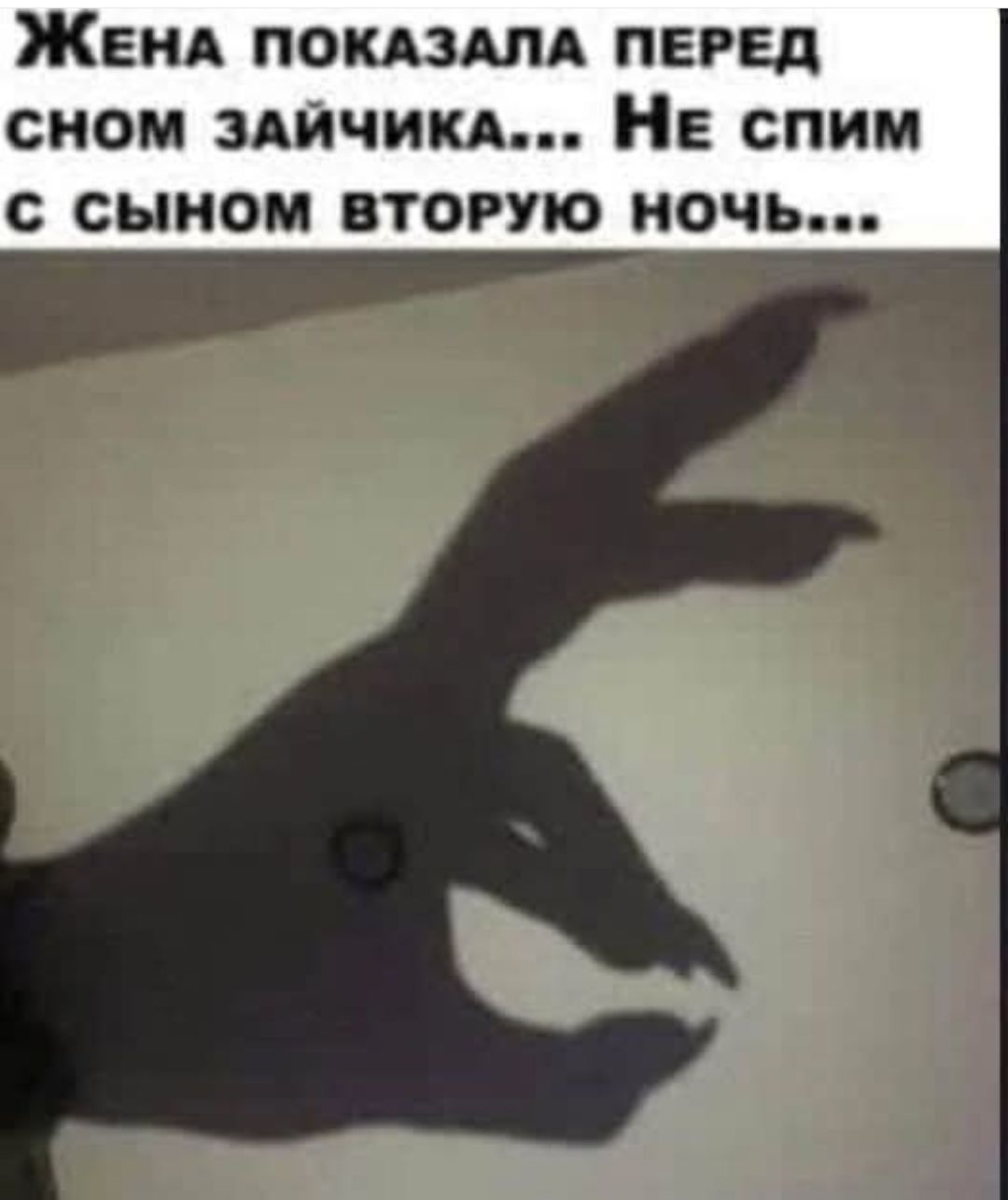 Жена показала перед сном зайчика... Не спим с сыном вторую ночь...