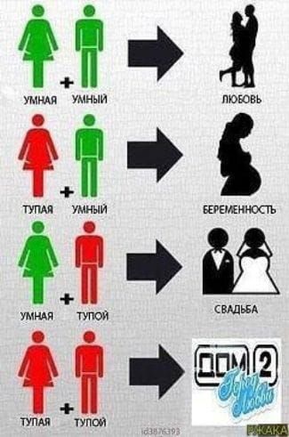 УМНАЯ + УМНЫЙ = ЛЮБОВЬ

ТУПАЯ + УМНЫЙ = БЕРЕМЕННОСТЬ

УМНАЯ + ТУПАЯ = СВАДЬБА

ТУПАЯ + ТУПОЙ = ДОМ-2