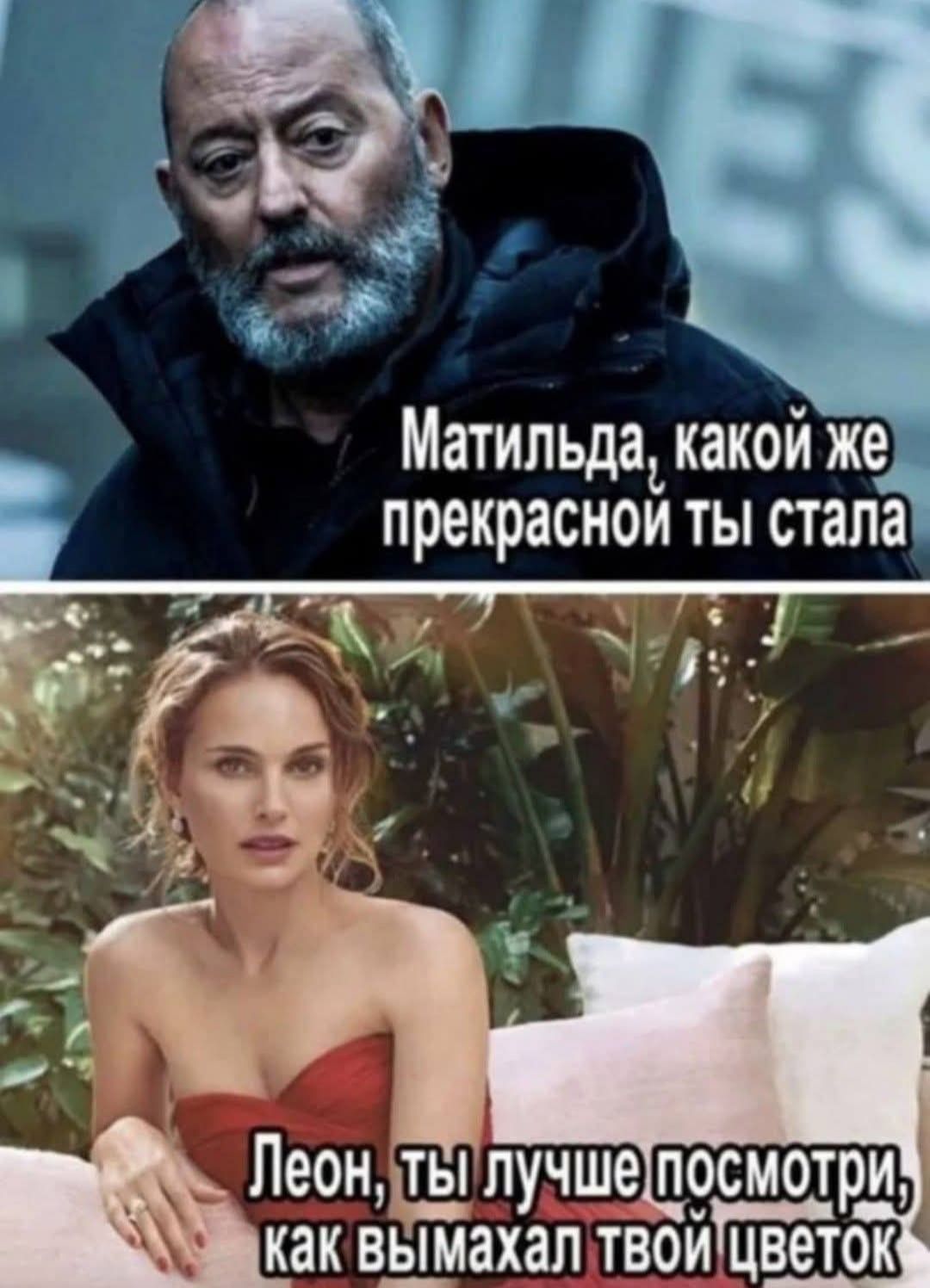 Матильда, какой же прекрасной ты стала
Леон, ты лучше посмотри, как вымахал твой цветок