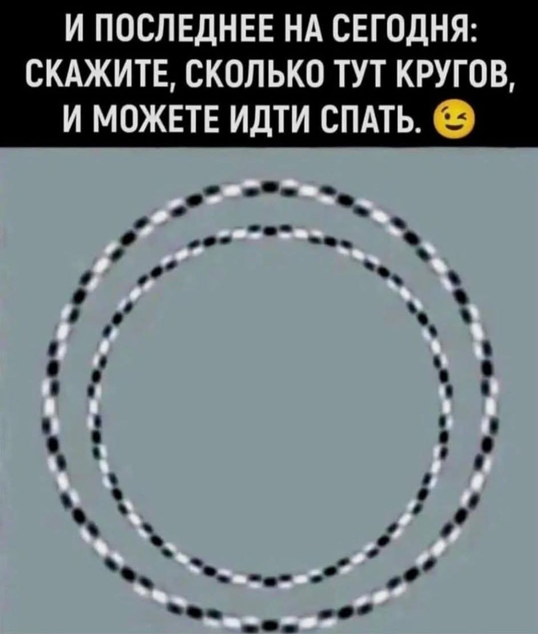 И ПОСЛЕДНЕЕ НА СЕГОДНЯ: СКАЖИТЕ, СКОЛЬКО ТУТ КРУГОВ, И МОЖЕТЕ ИДТИ СПАТЬ. 😉