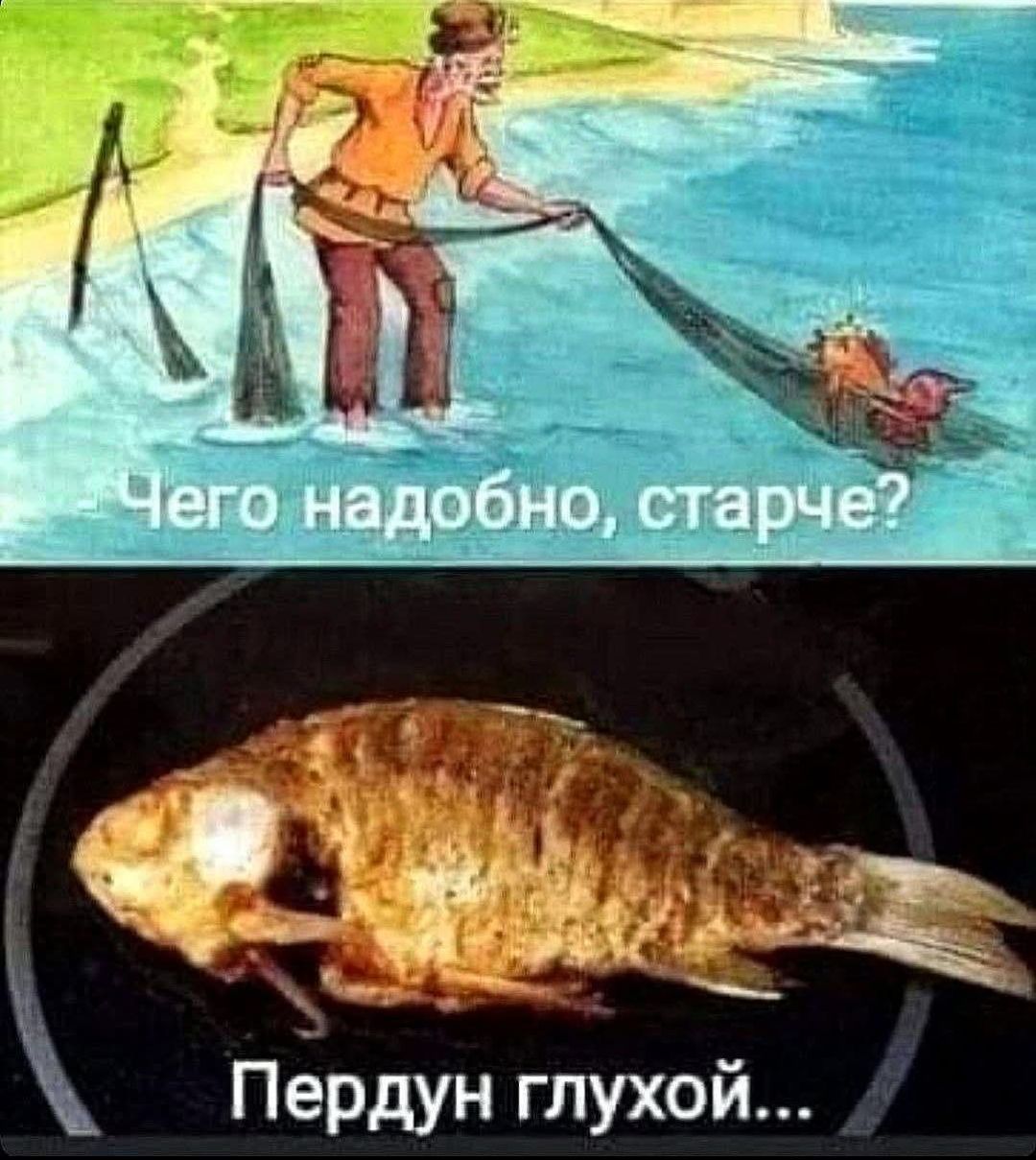 Чего надобно, старче?
Пердун глухой...