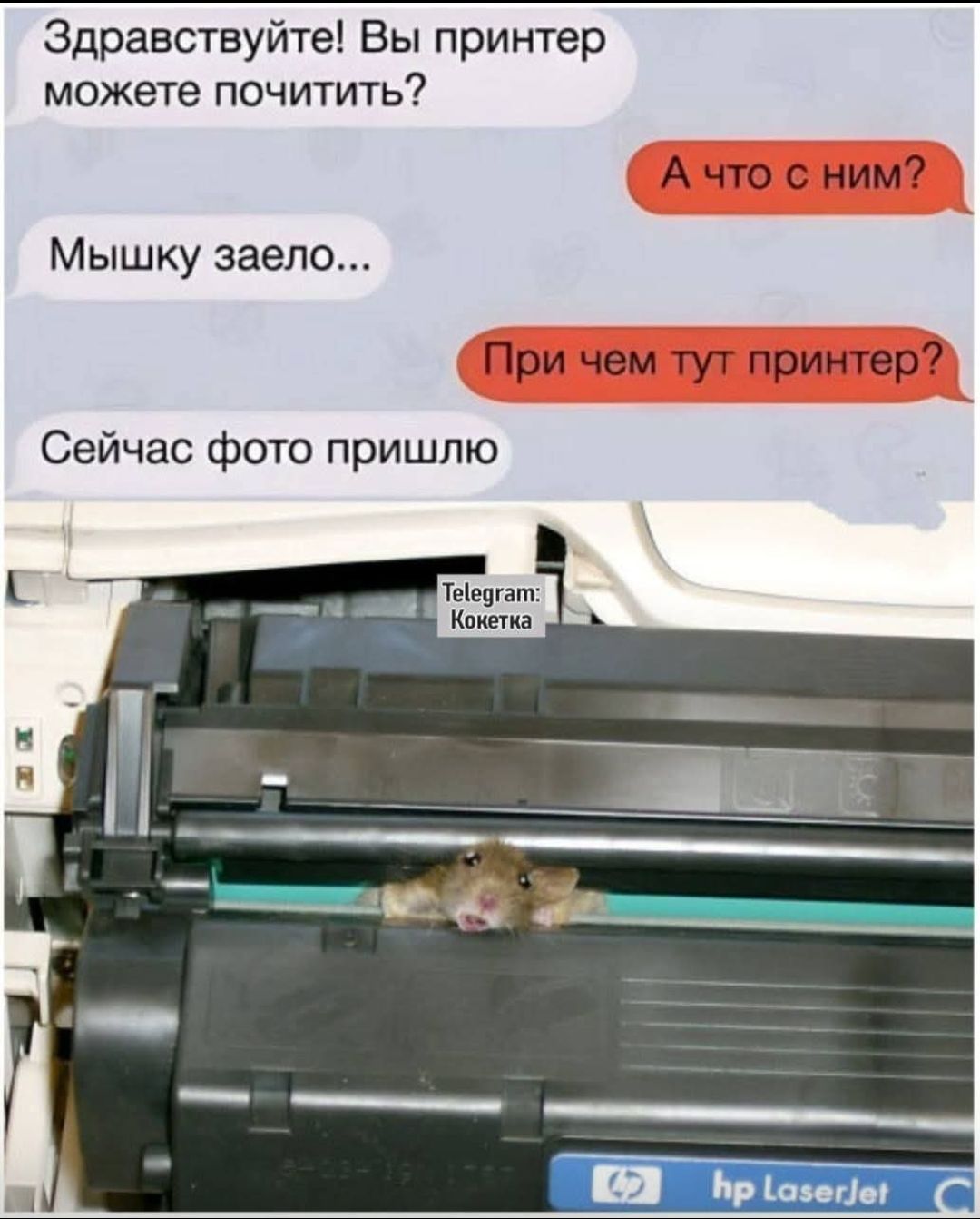 Здравствуй! Вы принтер можете почитать? А чо с ним? Мышку заело... При чем тут принтер? Сейчас фото пришлю