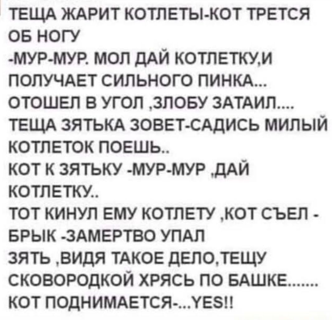 ТЕЩА ЖАРИТ КОТЛЕТЫ - КОТ ТРЕТСЯ ОБ НОГУ - МУР-МУР. МОЛ ДАЙ КОТЛЕТКУ, И ПОЛУЧАЕТ СИЛЬНОГО ПИНКА... ОТОШЕЛ В УГОЛ, ЗЛОБУ ЗАТИРАЛ... ТЕЩА ЗЯТЬКА ЗОВЕТ - САДИСЬ МИЛЫЙ КОТЛЕТОК, ПОЕШЬ... КОТ К ЗЯТЬКУ - МУР-МУР, ДАЙ КОТЛЕТКУ... ТОТ КИНУЛ ЕМУ КОТЛЕТУ, КОТ СЪЕЛ - БРЫК - ЗАМЕРТВО УПАЛ ЗЯТЬ, ВИДЯ ТАКОЕ ДЕЛО, ТЕЩУ СКОВОРОДКОЙ ХРЯСЬ ПО БАШКЕ... КОТ ПОДНИМАЕТСЯ... YES!!