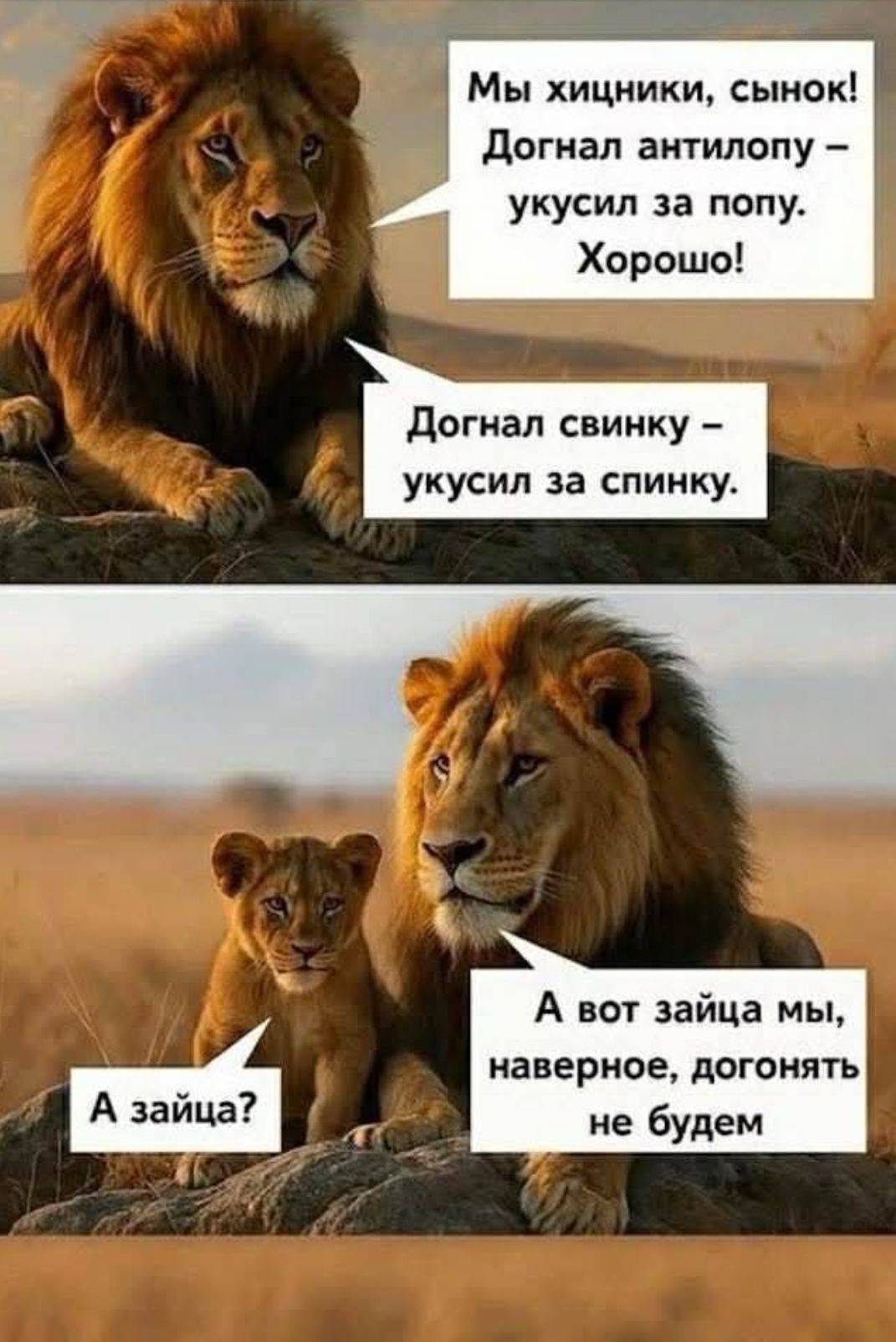 Мы хищники, сынок! Догнал антилопу – укусил за попу. Хорошо!
Догнал свинку – укусил за спинку.
А вот зайца мы, наверное, догонять не будем
А зайца?