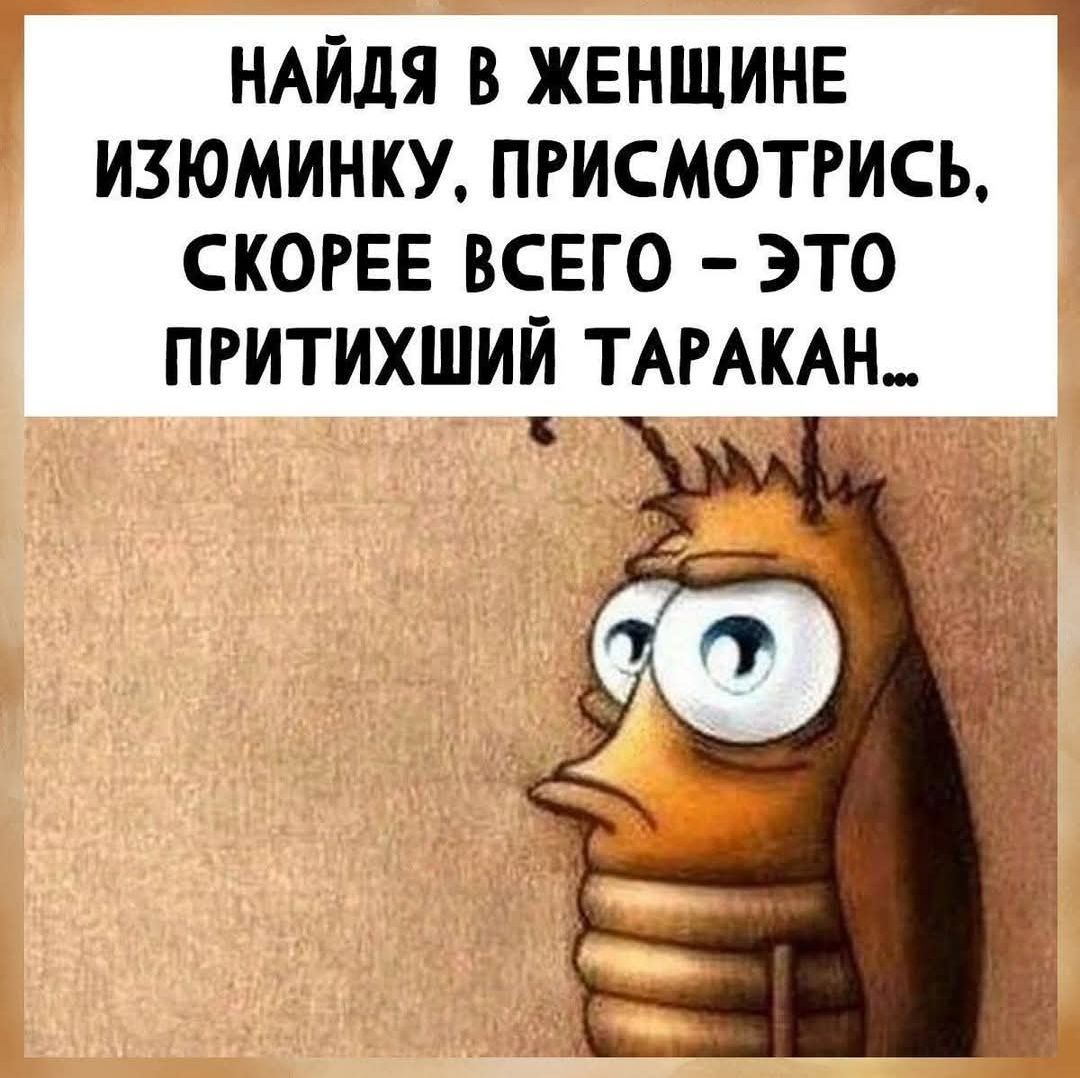Найдя в женщине изюминку, присмотрись, скорее всего — это притихший таракан...
