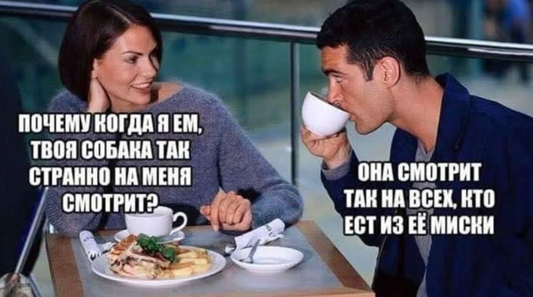 ПОЧЕМУ КОГДА Я ЕМ, ТВОЯ СОБАКА ТАК СТРАННОЕ СМОТРИТЬ? Она смотрит так на всех, кто ест из её миски