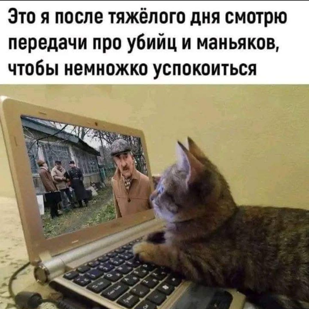 Это я после тяжёлого дня смотрю передачи про убийц и маньяков, чтобы немножко успокоиться