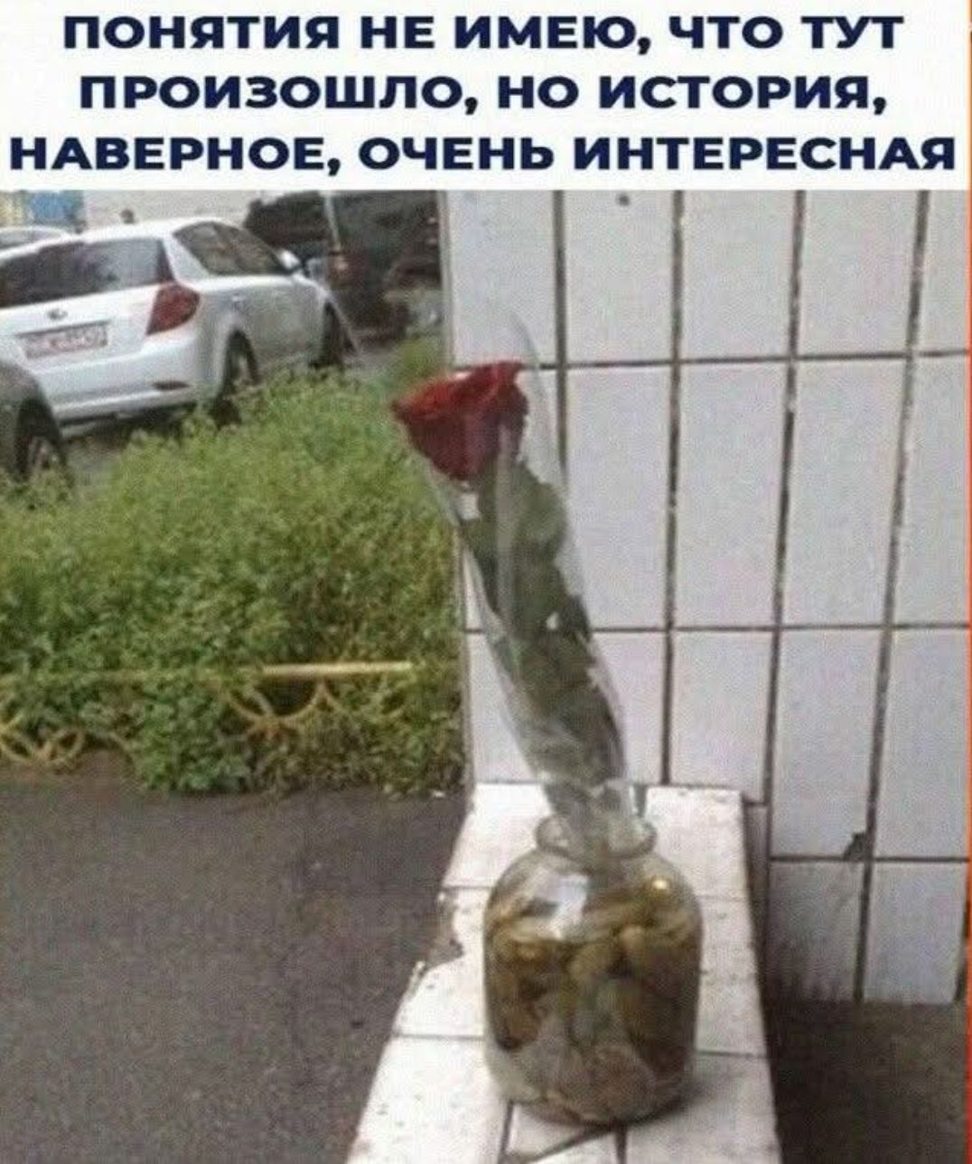 ПОНЯТИЯ НЕ ИМЕЮ, ЧТО ТУТ ПРОИЗОШЛО, НО ИСТОРИЯ, НАВЕРНОЕ, ОЧЕНЬ ИНТЕРЕСНАЯ