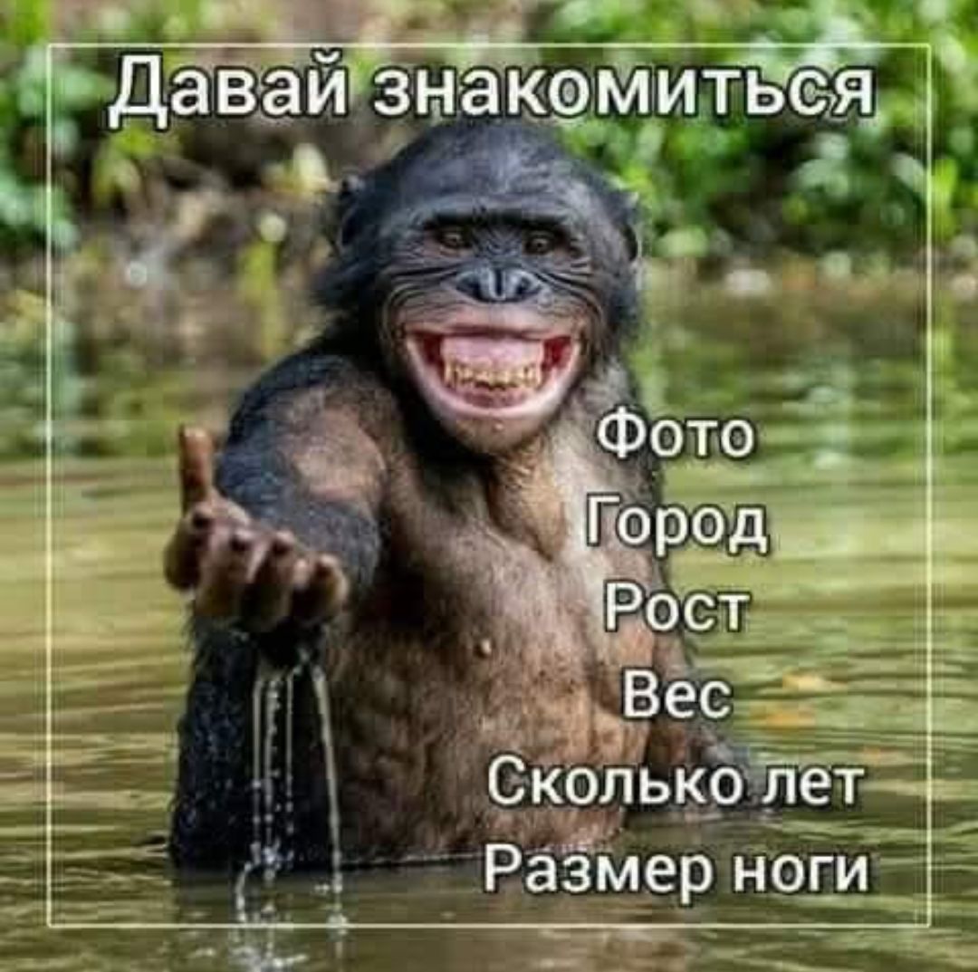 Давай знакомиться Фото Город Рост Вес Сколько лет Размер ноги