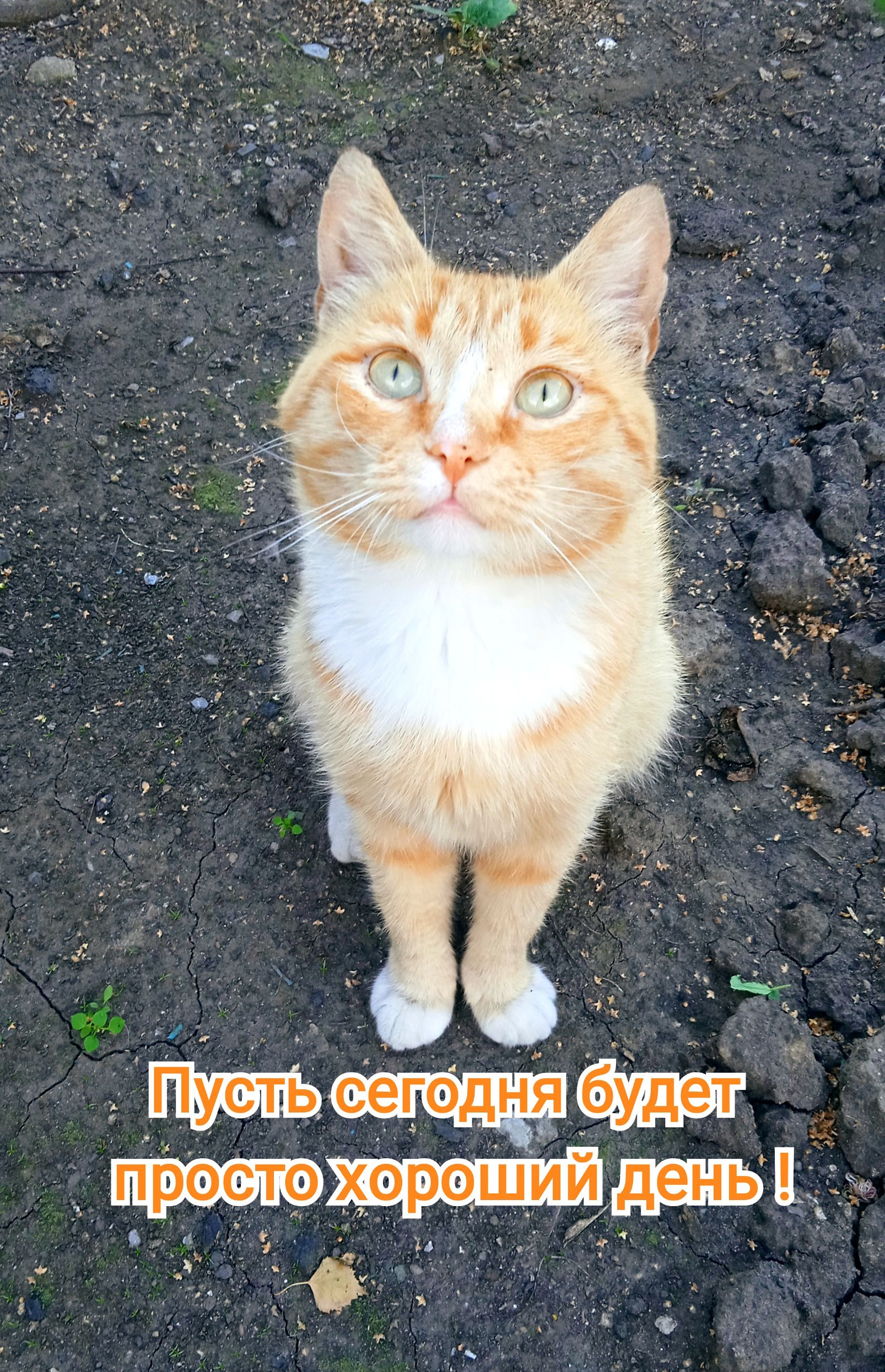 Пусть сегодня будет просто хороший день !