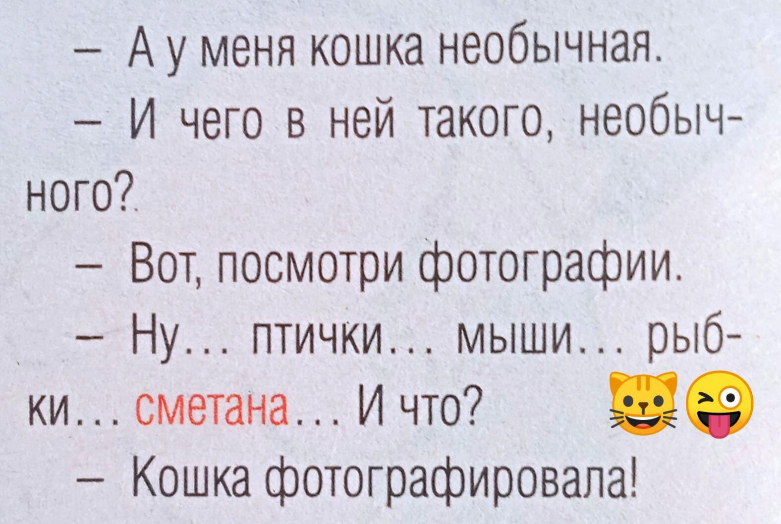 А у меня кошка необычная.
- И чего в ней такого, необычного?
- Вот, посмотри фотографии.
- Ну... птички... мыши... рыб-ки... сметана... И что?
- Кошка фотографировала!