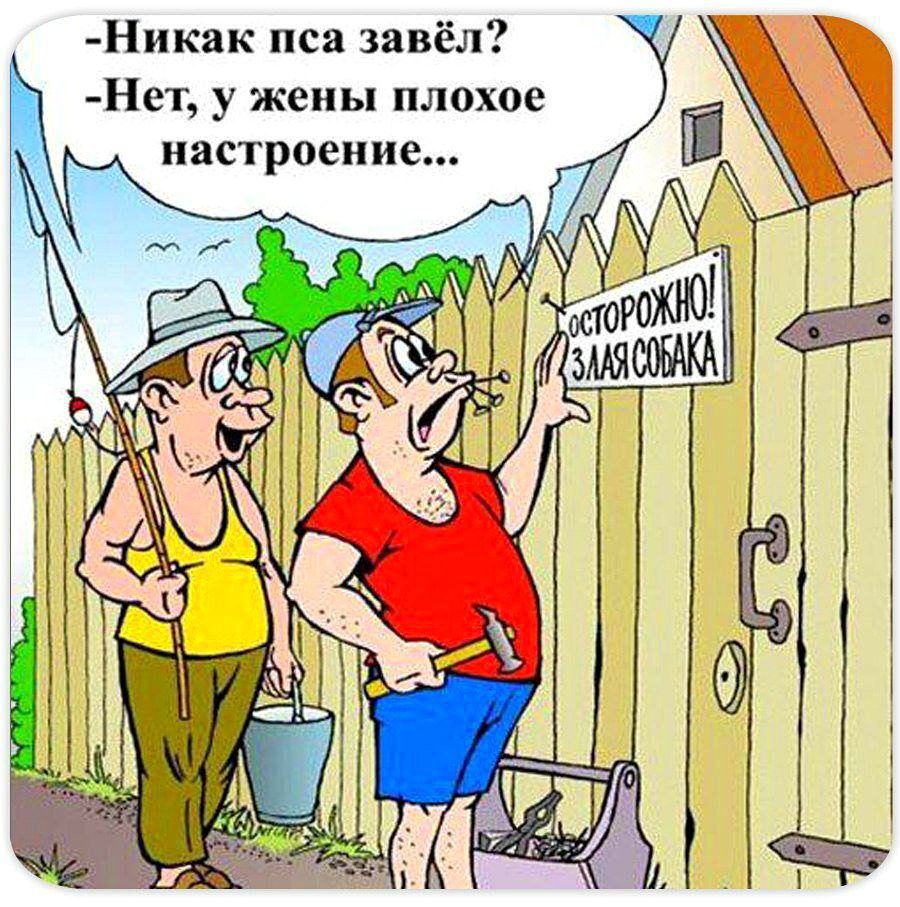 У диалоге два человека обсуждают, зачем не заведён пес. Один сообщает: 