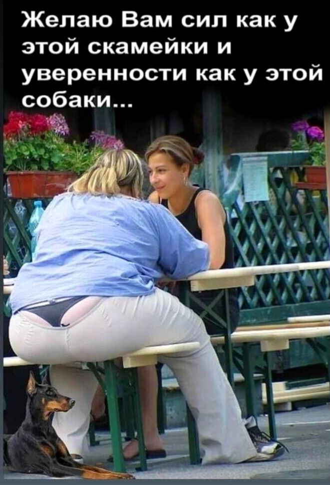 Желаю Вам сил как у этой скамеечки и уверенности как у этой собаки...