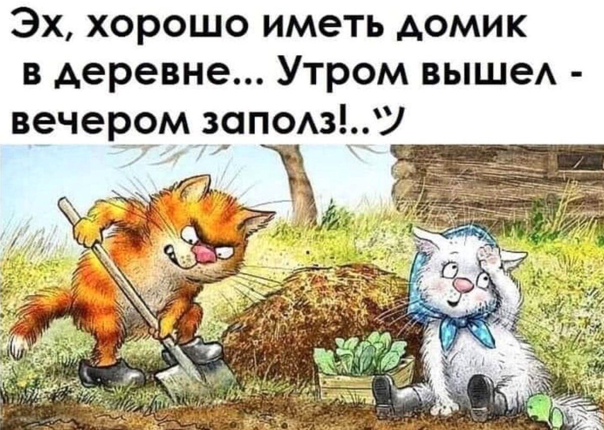 Эх, хорошо иметь домик в деревне... Утром вышел - вечером заполз!.