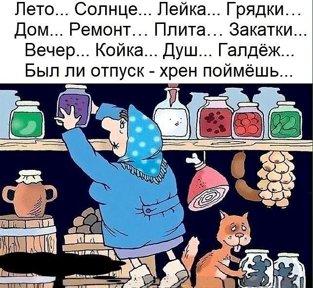 Лето... Солнце... Лейка... Грядки...
Дом... Ремонт... Плита... Закатки...
Вечер... Койка... Душ... Гальдёж...
Был ли отпуск - хрен поймёшь...