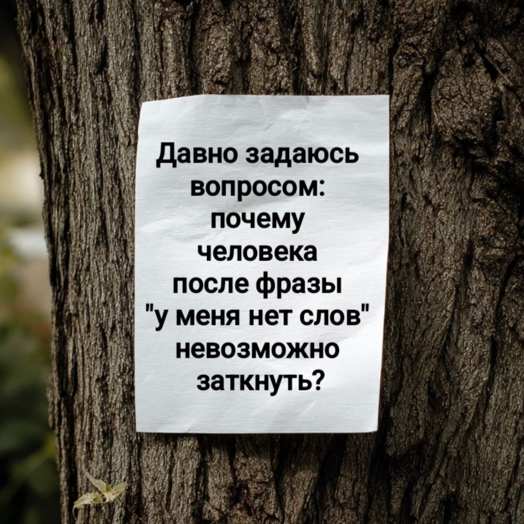 Давно задаюсь вопросом: почему человека после фразы 