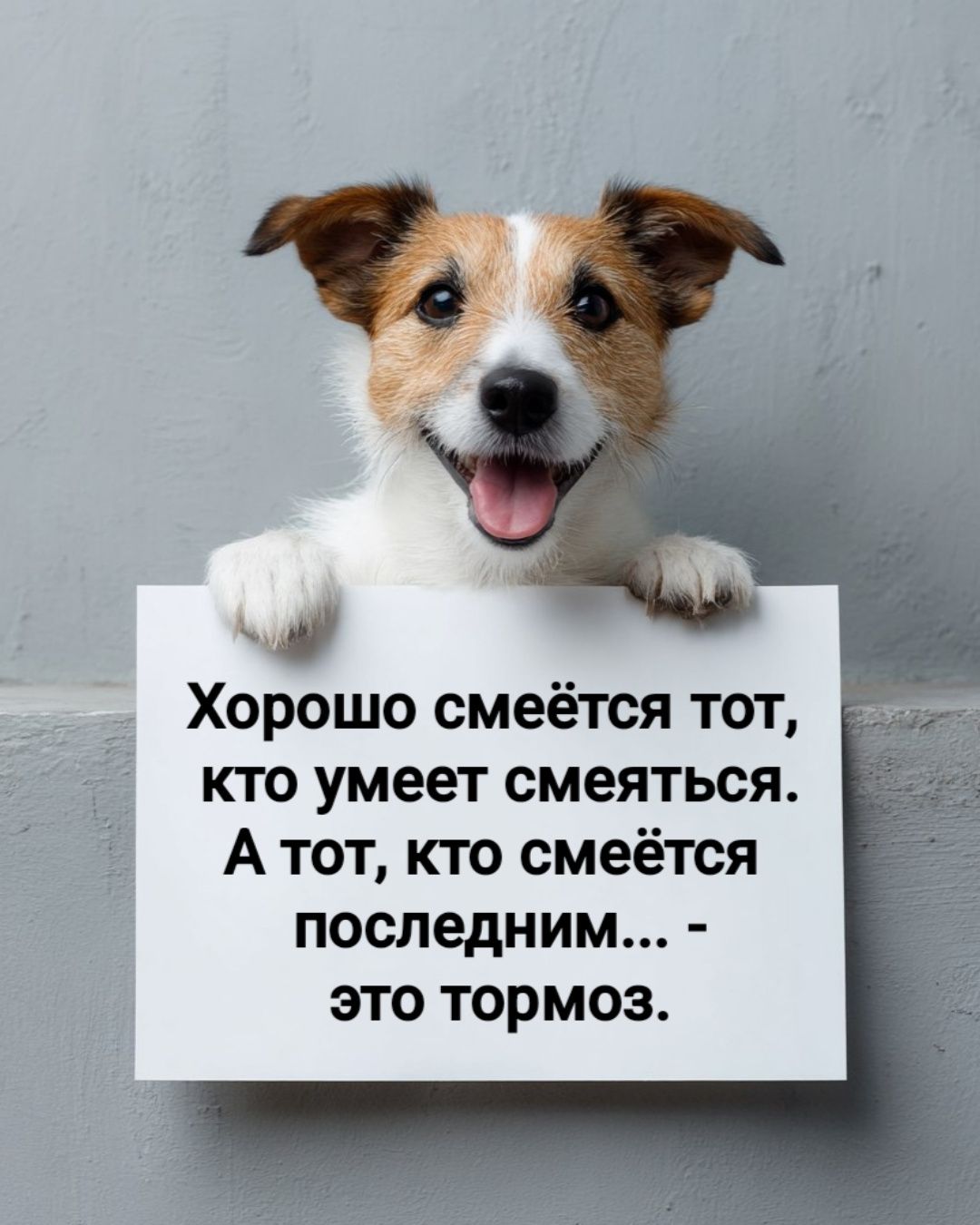 Хорошо смеётся тот, кто умеет смеяться. А тот, кто смеётся последним... - это тормоз.