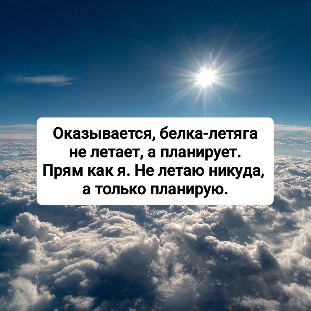Оказывается, белка-летяга не летает, а планирует. Прям как я. Не летаю никуда, а только планирую.