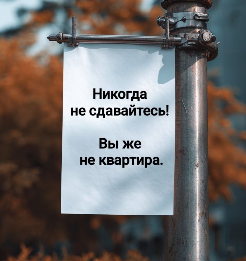 Никогда не сдавайтесь! Вы же не квартира.