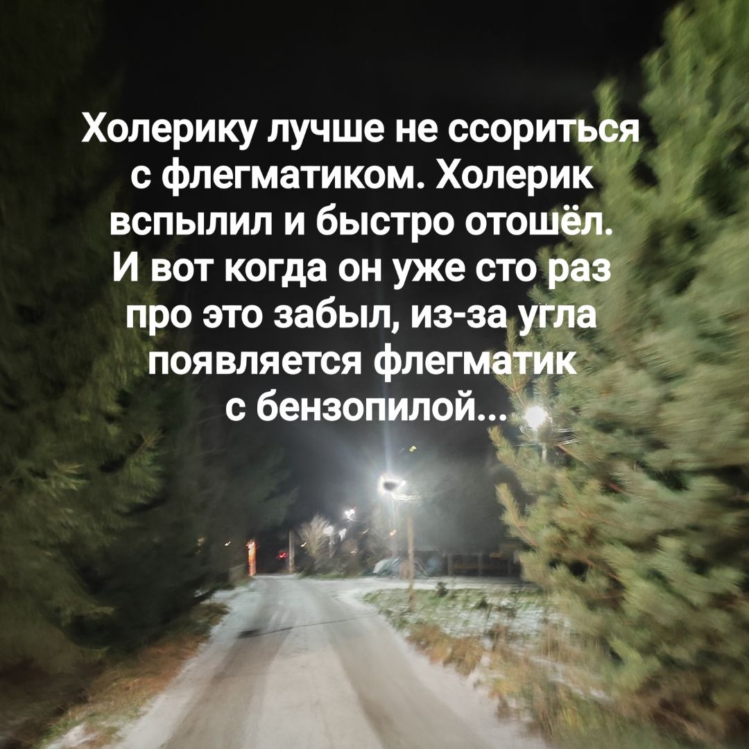 Холерикy лучше не ссориться с флегматиком. Холерик вспылил и быстро отошёл. И вот когда он уже сто раз про это забыл, из-за угла появляется флегматик с бензопилой....