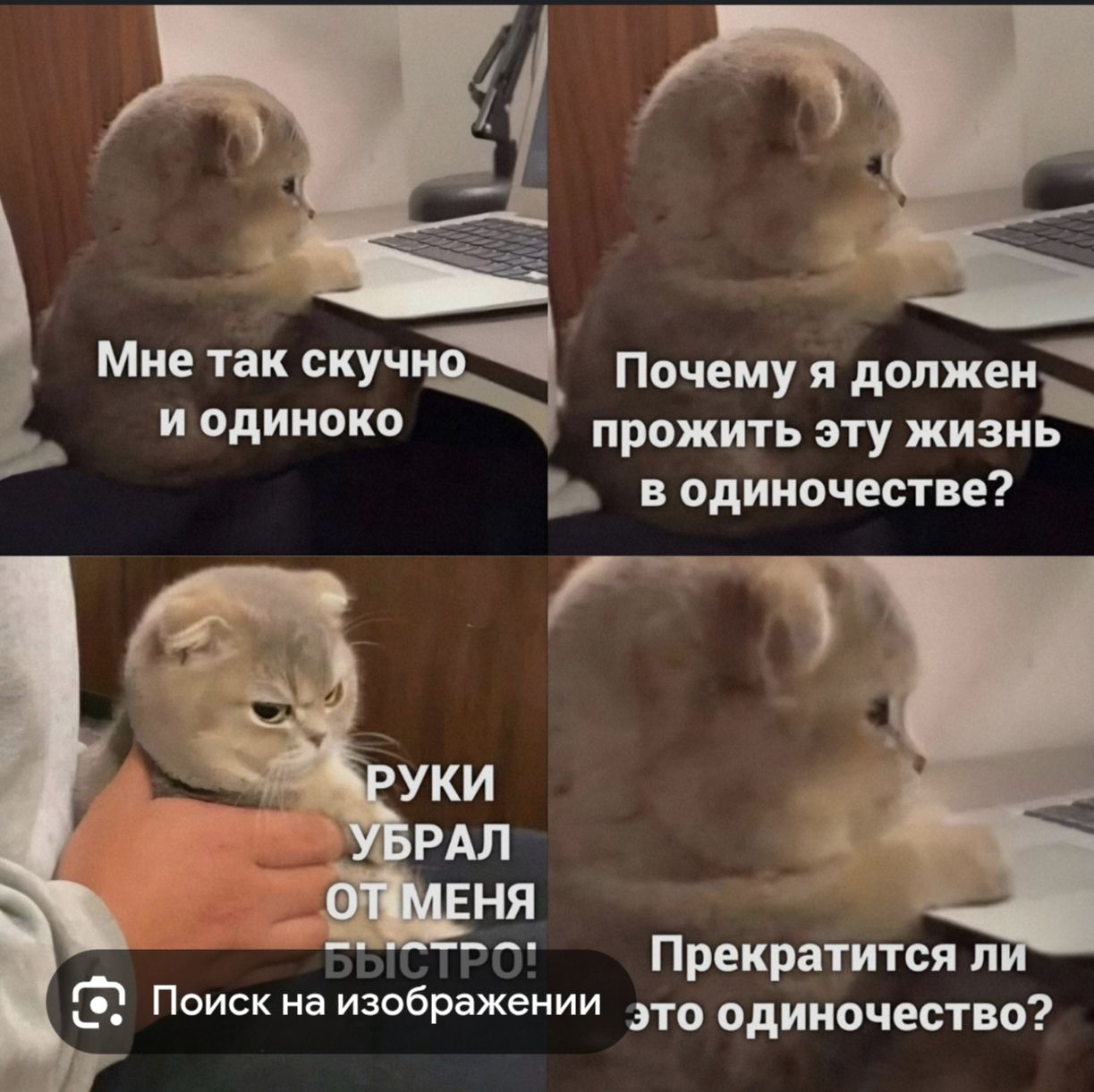 Мне так скучно и одиноко
Почему я должен прожить эту жизнь в одиночестве?
РУКИ УБРАЛ ОТ МЕНЯ БЫСТРО!
Прекратится ли это одиночество?