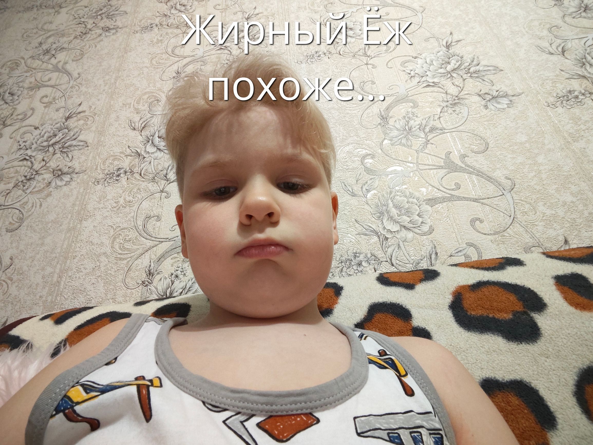 Жирный Ёж похоже...