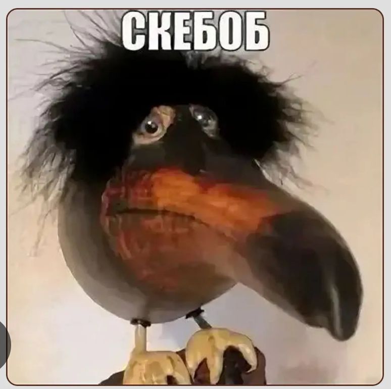 СКЕБОБ