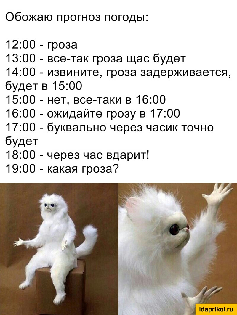 Обожаю прогноз погоды 1200 гроза 1300 все так гроза щас будет 1400 извините гроза задерживается будет в 1500 1500 нет всетаки в 1600 1600 ожидайте грозу в 1700 1700 буквально через часик точно будет 1800 через час вдарит 1900 какая гроза