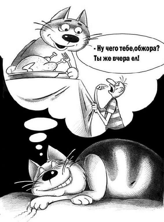 Ну чего тебе, обжора? Ты же вчера ел!