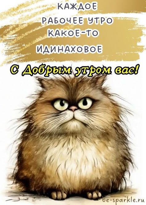 КАЖДОЕ
РАБОЧЕЕ УТРО
КАКОЕ-ТО
ИДИНАХОВОЕ
С Добрым утром вас!