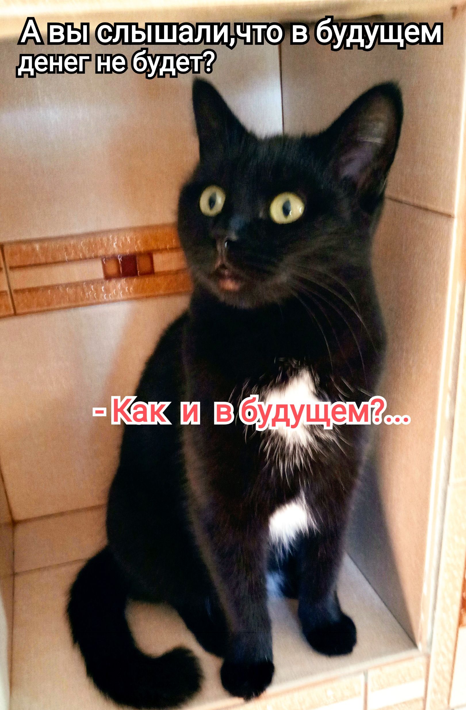 А вы слышали, что в будущем денег не будет? - Как и в будущем?...