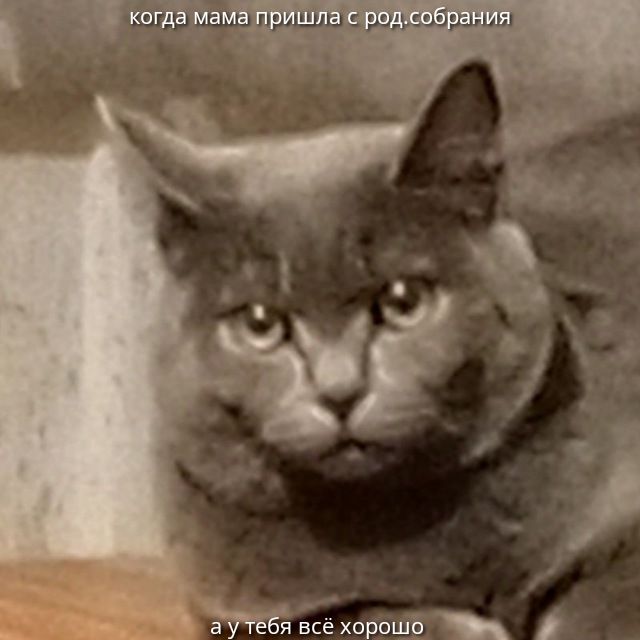 когда мама пришла с род.собрания а у тебя всё хорошо