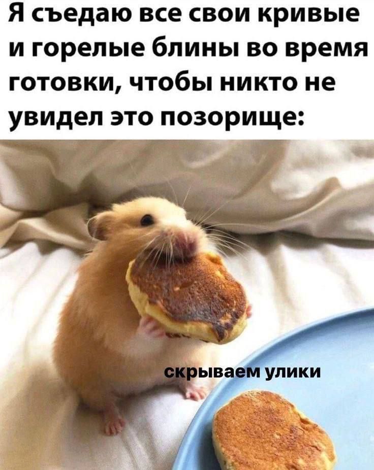 Я съедаю все свои кривые и горелые блины во время готовки, чтобы никто не увидел это позорище:
скрываем улики