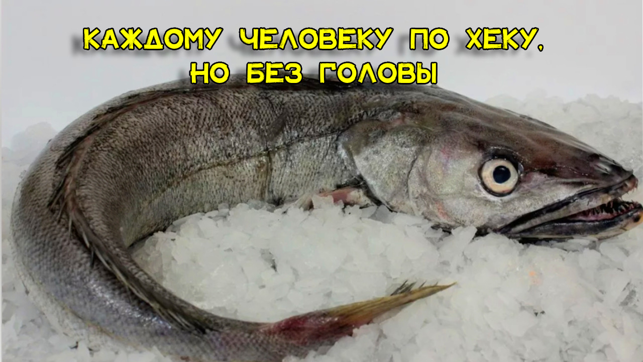 КАЖДОМУ ЧЕЛОВЕКУ ПО ХЕКУ, НО БЕЗ ГОЛОВЫ