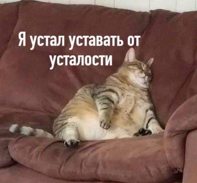 Я устал устать от усталости